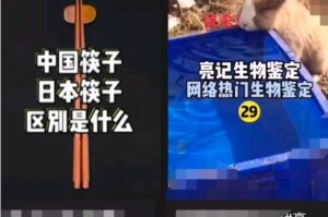 我来分享抖音如何进入学习功能。