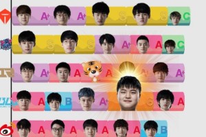 我来分享网友给17支LPL战队选手评级。